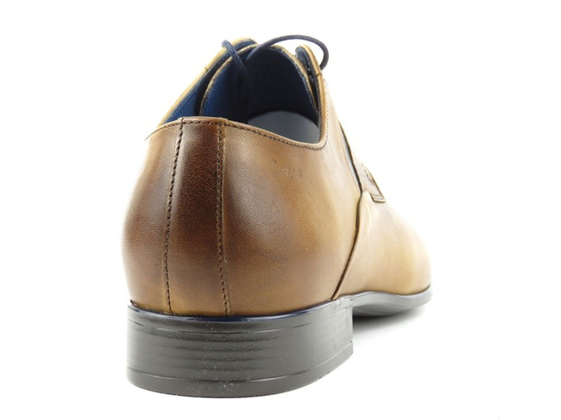 Derby męskie Conhpol 6503